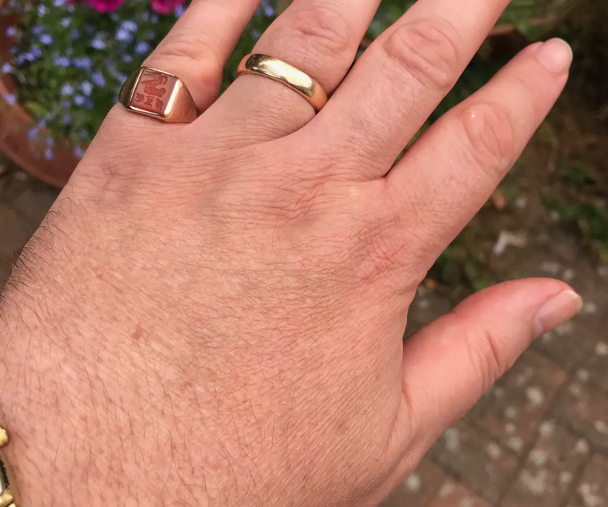 A hand wearing a gold wedding band and a signet ring