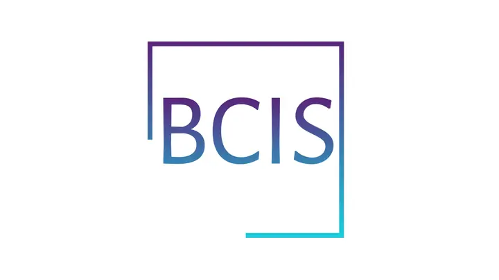 BC Investigative Services